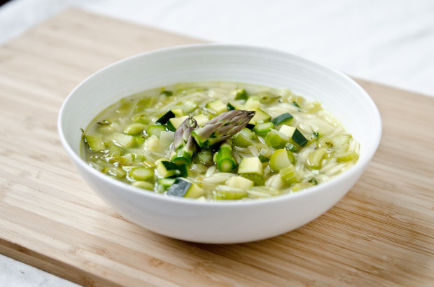 Spring Vegetable Minestrone with Orzo - The Fig Tree