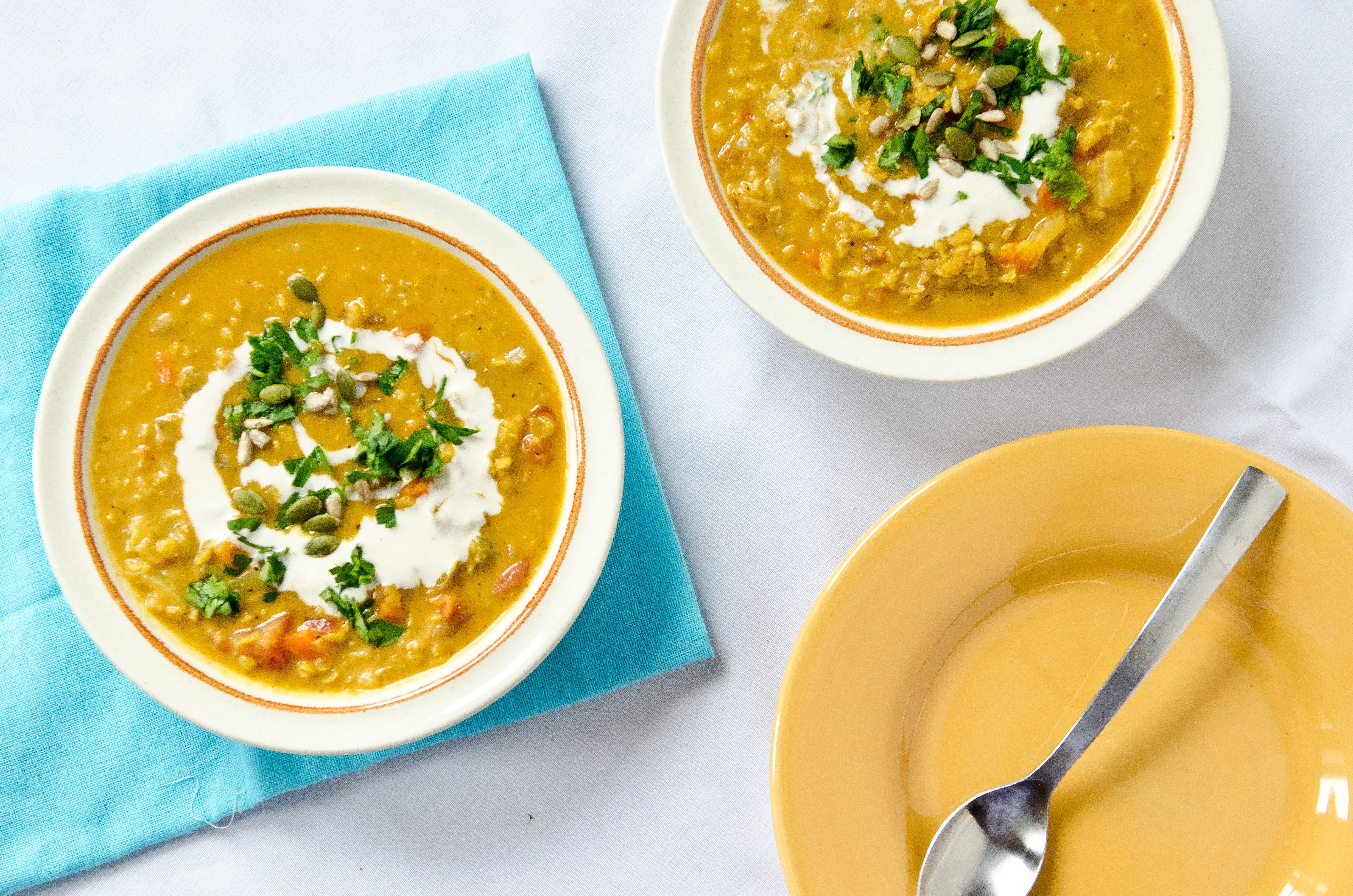 Curried Coconut Lentil Stew - The Fig Tree